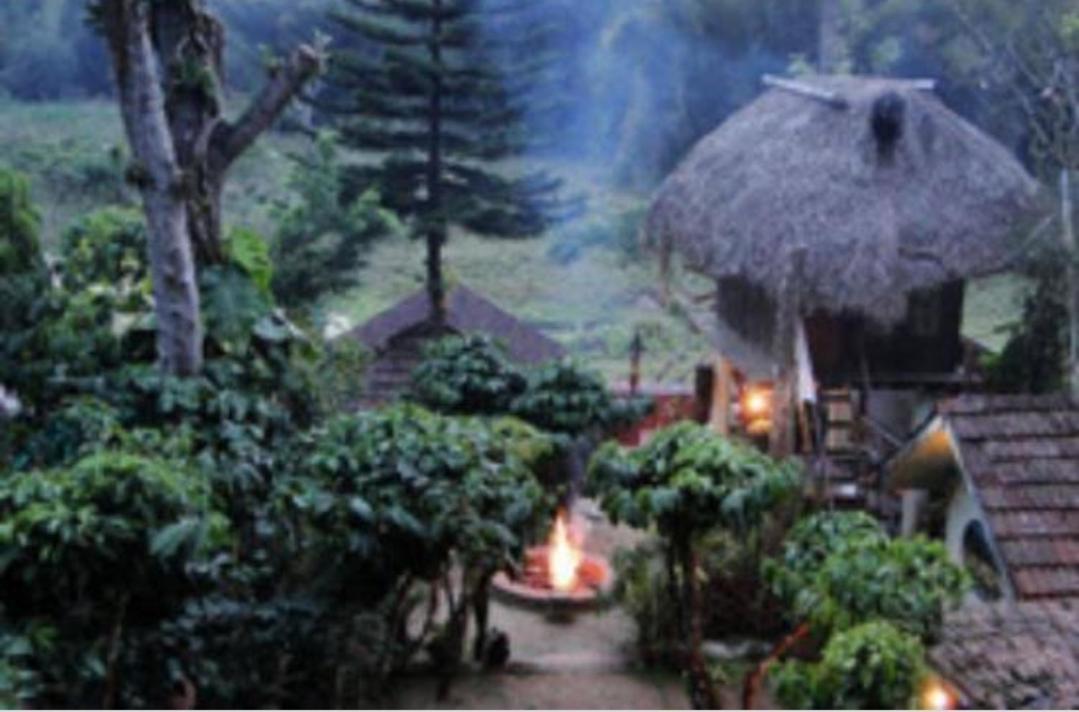 Coffee Inn Thekkady Zewnętrze zdjęcie